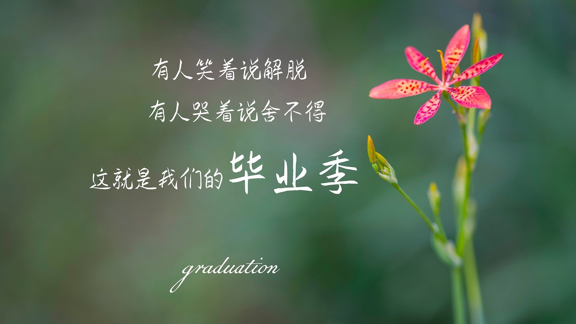 德甲主教练更替对球队战术稳定性影响,德足主教练